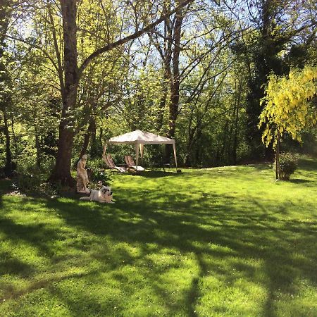Domaine Du Val De Soux Bed & Breakfast Montgaillard-de-Salies Eksteriør bilde